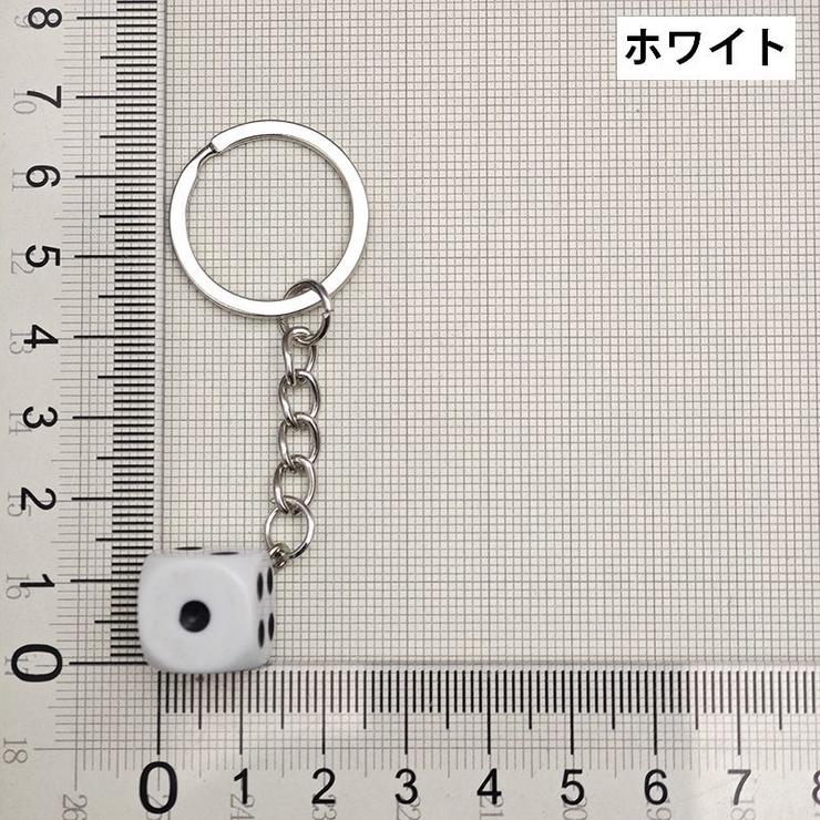 キーホルダー キーリング バックチャーム | PlusNao | 詳細画像4 