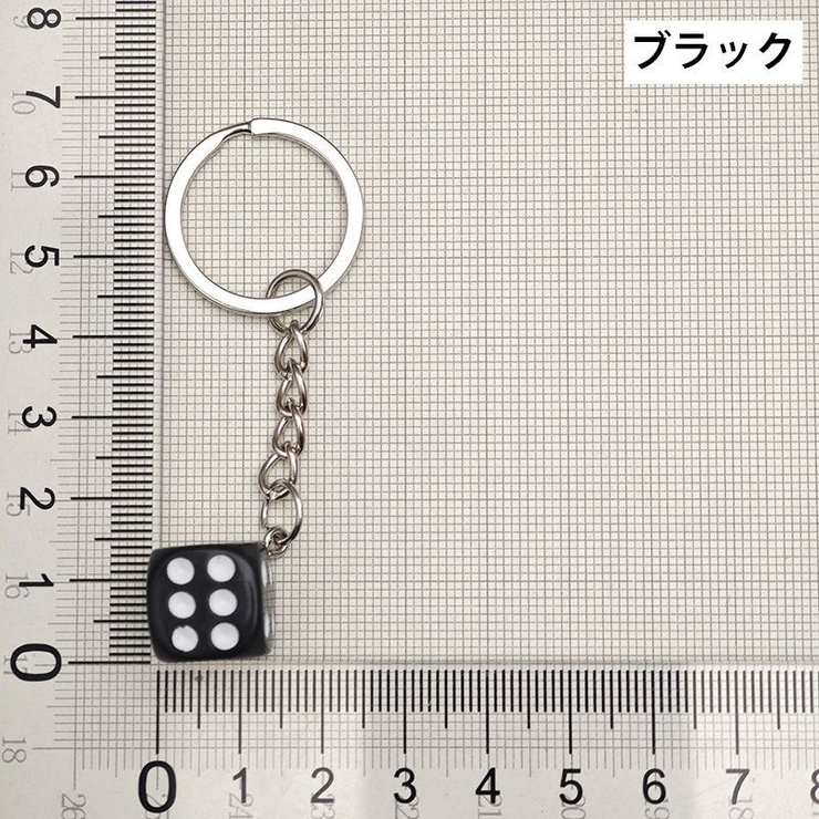 キーホルダー キーリング バックチャーム | PlusNao | 詳細画像5 