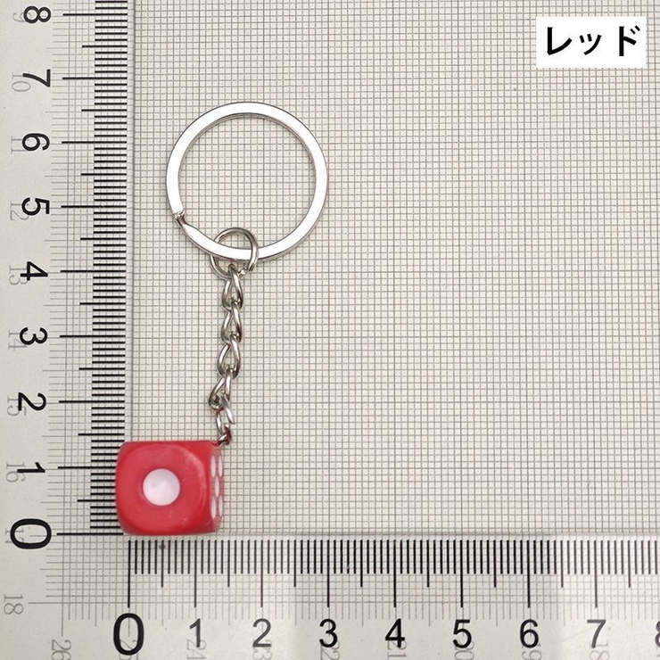 キーホルダー キーリング バックチャーム | PlusNao | 詳細画像6 
