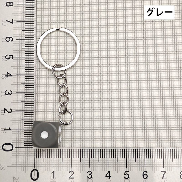 キーホルダー キーリング バックチャーム | PlusNao | 詳細画像8 