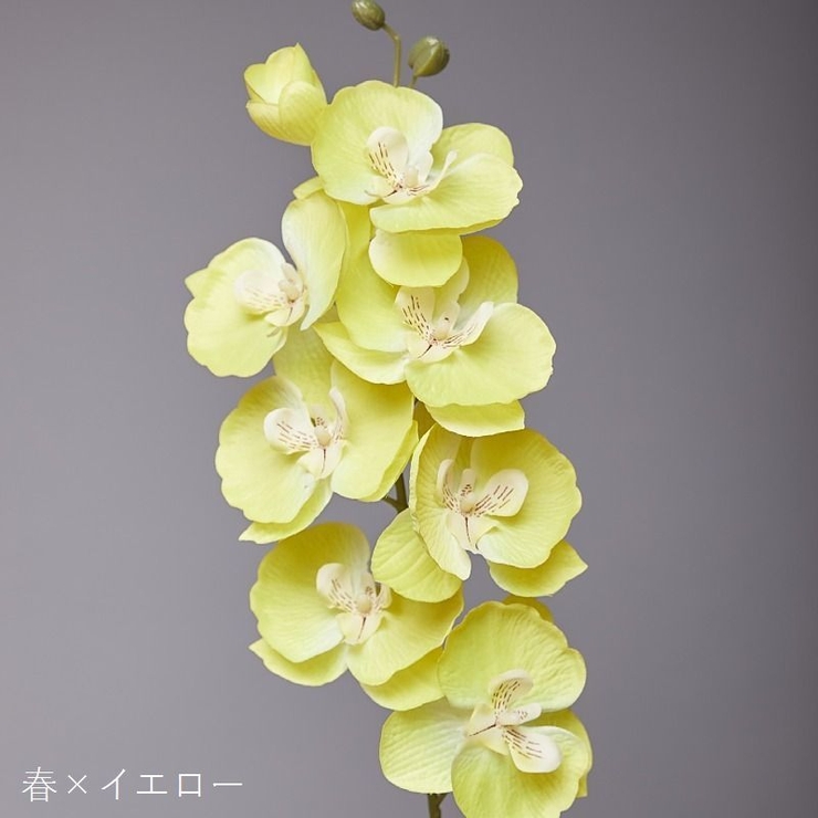 Amazon.co.jp: chuxinmy 手芸モール 造花セット【複数の色から