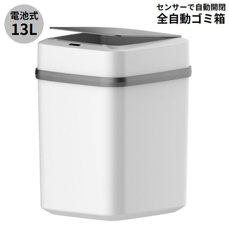 ゴミ箱 ダストボックス 大容量13L | PlusNao | 詳細画像1 