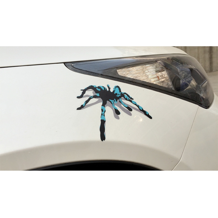 カーステッカー カッティングステッカー ボディステッカー | PlusNao | 詳細画像5 