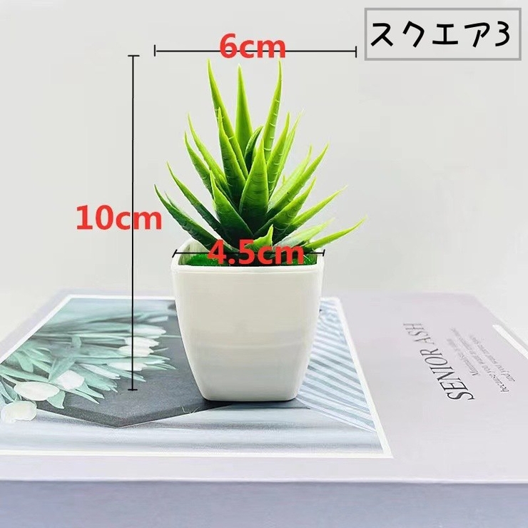 人工観葉植物 フェイクグリーン 造花 | PlusNao | 詳細画像10 
