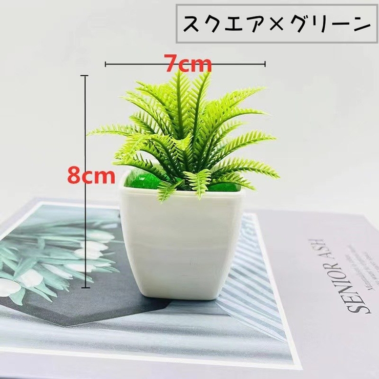 人工観葉植物 フェイクグリーン 造花 | PlusNao | 詳細画像11 