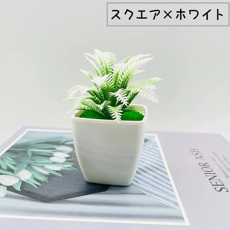 人工観葉植物 フェイクグリーン 造花 | PlusNao | 詳細画像13 