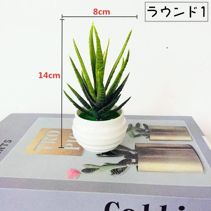 人工観葉植物 フェイクグリーン 造花 | PlusNao | 詳細画像4 
