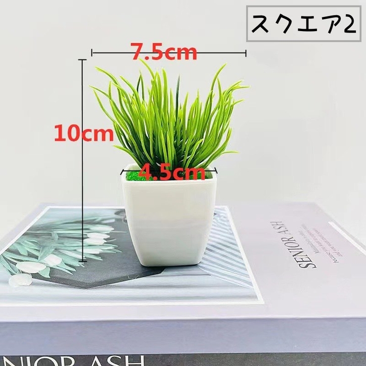 人工観葉植物 フェイクグリーン 造花 | PlusNao | 詳細画像9 