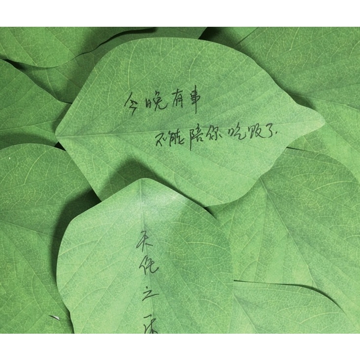 付箋 ふせん メモ帳 | PlusNao | 詳細画像10 