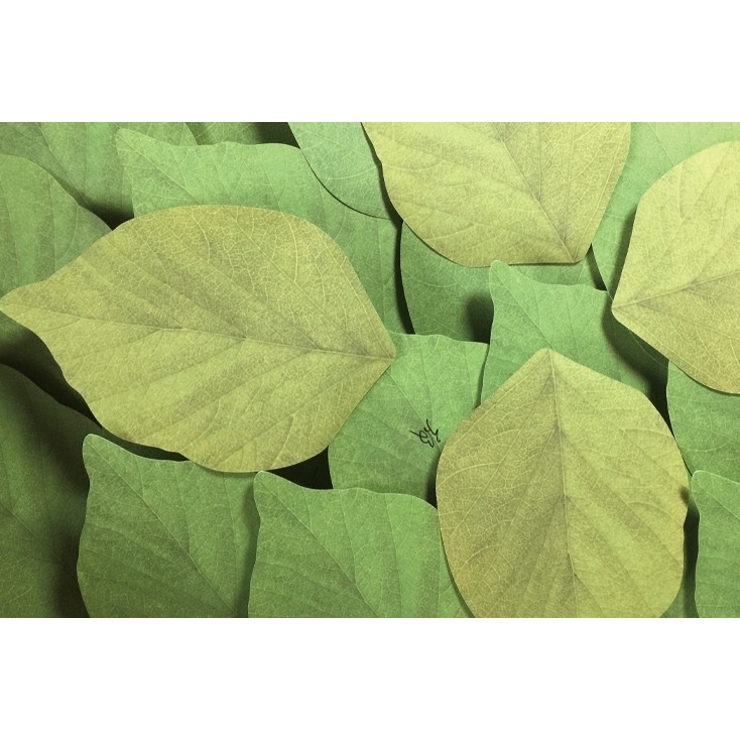 付箋 ふせん メモ帳 | PlusNao | 詳細画像11 