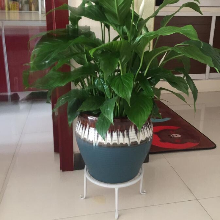 フラワースタンド 植木鉢置き インテリア | PlusNao | 詳細画像2 