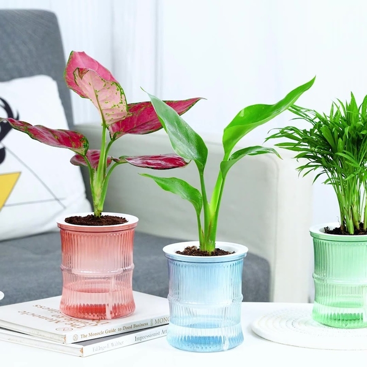 2024-25 秋冬新作  ハイブランドの 植木鉢 フラワーポット 多肉植物ポット[品番：FQ000206999 鉢・プランター