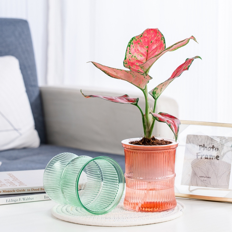 植木鉢 フラワーポット 多肉植物ポット | PlusNao | 詳細画像6 