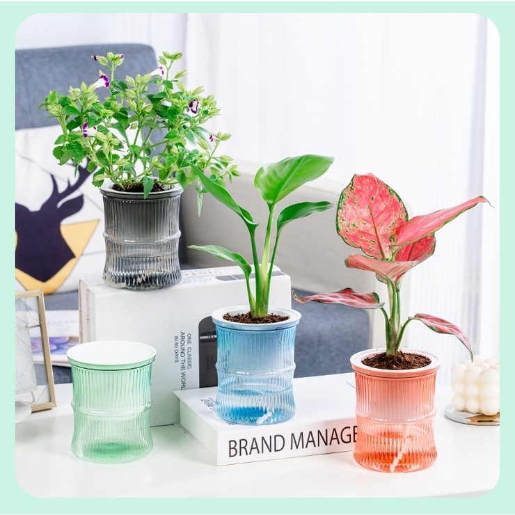 植木鉢 フラワーポット 多肉植物ポット[品番：FQ000206999