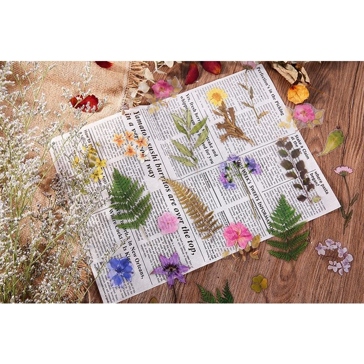 フレークシール ステッカー 40枚セット | PlusNao | 詳細画像7 