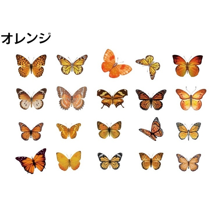 クリアステッカー シール 40枚セット | PlusNao | 詳細画像18 