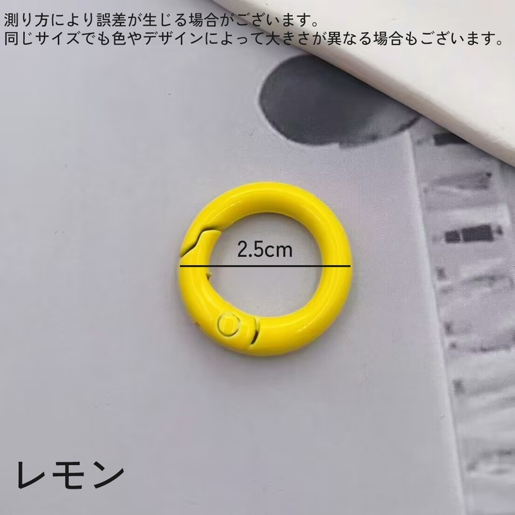 キーリング キーホルダー 5個セット | PlusNao | 詳細画像20 