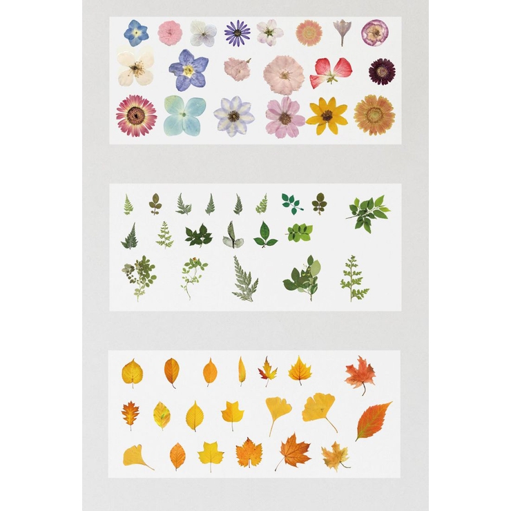 フレークシール 文房具 シール | PlusNao | 詳細画像18 