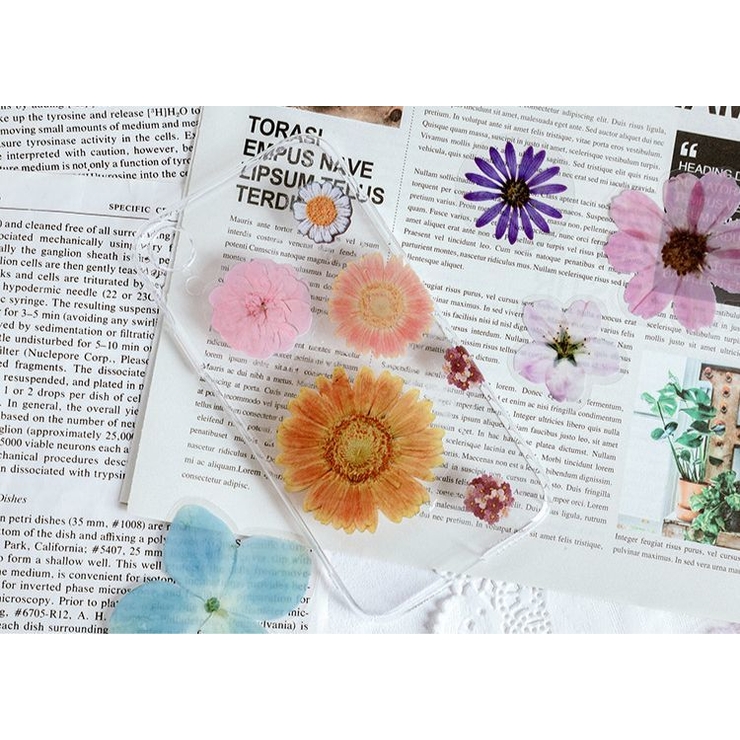 フレークシール 文房具 シール | PlusNao | 詳細画像6 