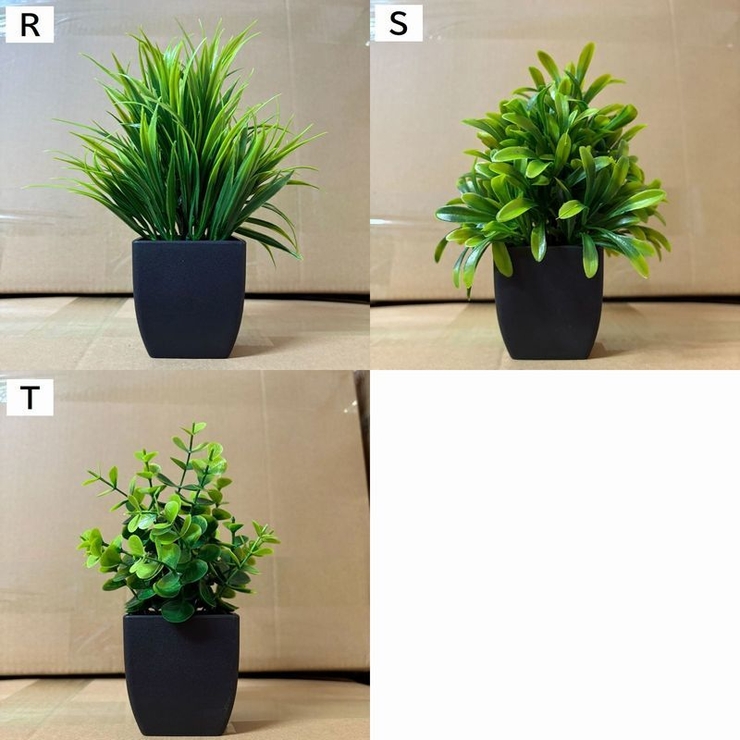 人工観葉植物 フェイクグリーン 造花 | PlusNao | 詳細画像19 