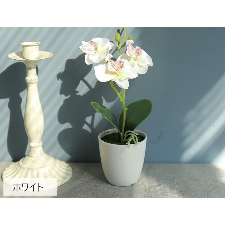 造花 フェイクフラワー 鉢植え付き | PlusNao | 詳細画像2 
