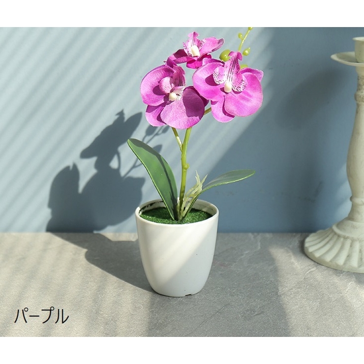 造花 フェイクフラワー 鉢植え付き | PlusNao | 詳細画像3 