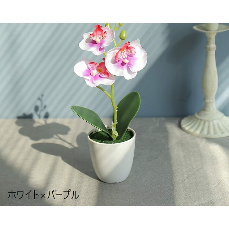 造花 フェイクフラワー 鉢植え付き | PlusNao | 詳細画像5 