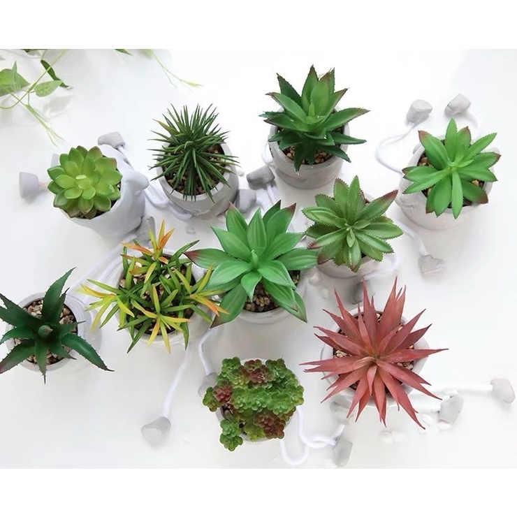 観葉植物 フェイクグリーン 多肉植物 | PlusNao | 詳細画像8 