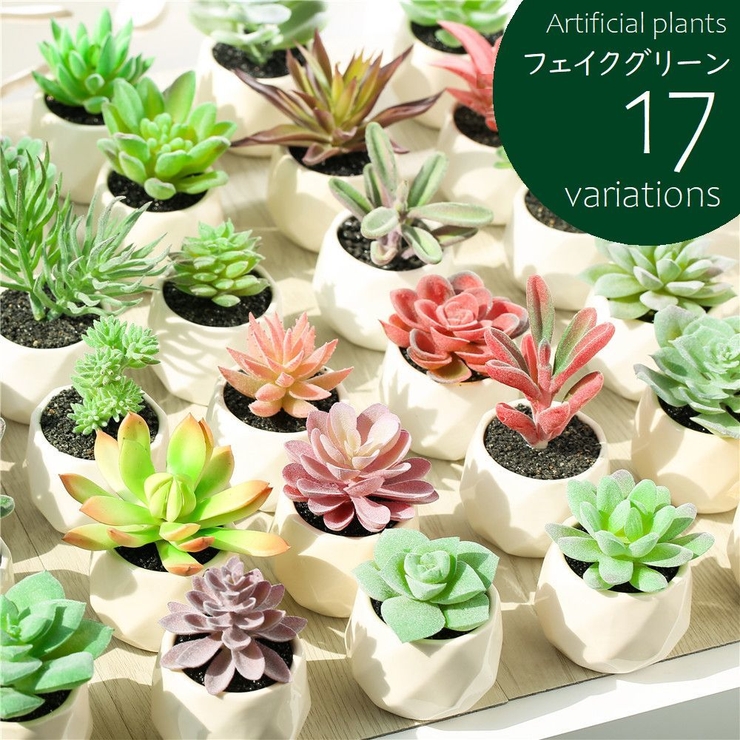 フェイクグリーン 単品 鉢植え | PlusNao | 詳細画像1 