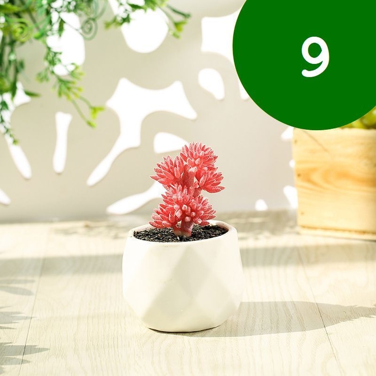 フェイクグリーン 単品 鉢植え | PlusNao | 詳細画像11 