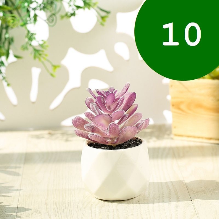 フェイクグリーン 単品 鉢植え | PlusNao | 詳細画像12 