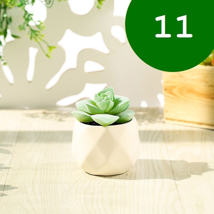 フェイクグリーン 単品 鉢植え | PlusNao | 詳細画像13 