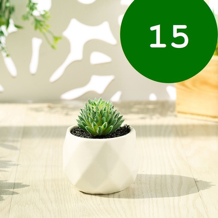 フェイクグリーン 単品 鉢植え | PlusNao | 詳細画像17 