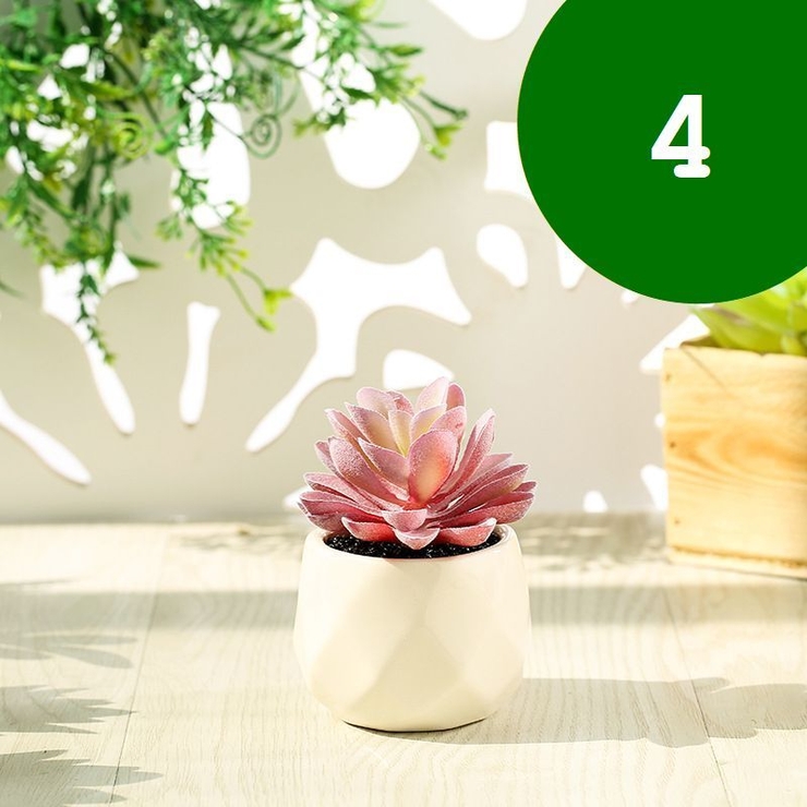 フェイクグリーン 単品 鉢植え | PlusNao | 詳細画像6 