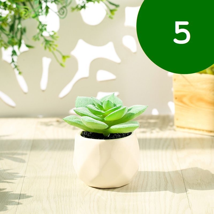 フェイクグリーン 単品 鉢植え | PlusNao | 詳細画像7 