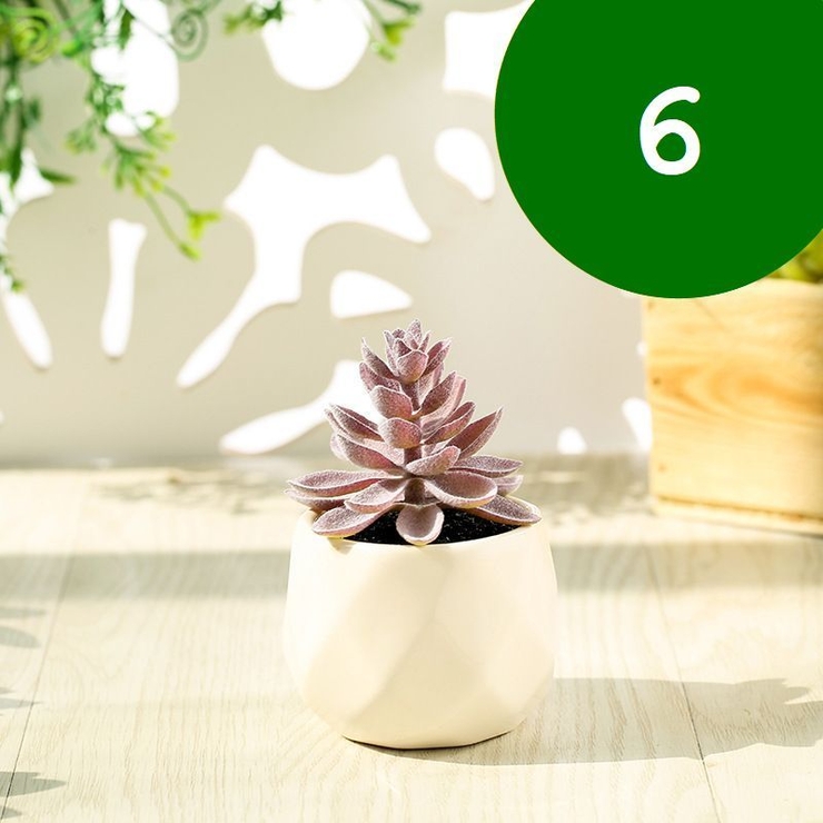 フェイクグリーン 単品 鉢植え | PlusNao | 詳細画像8 