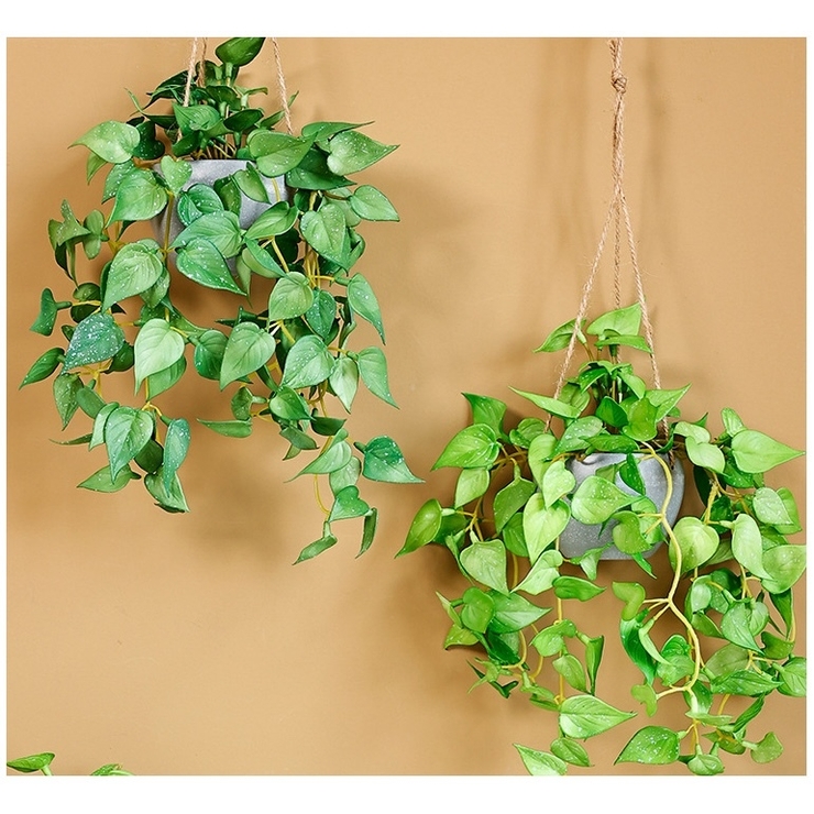 フェイクグリーン 人工観葉植物 観葉植物 | PlusNao | 詳細画像6 