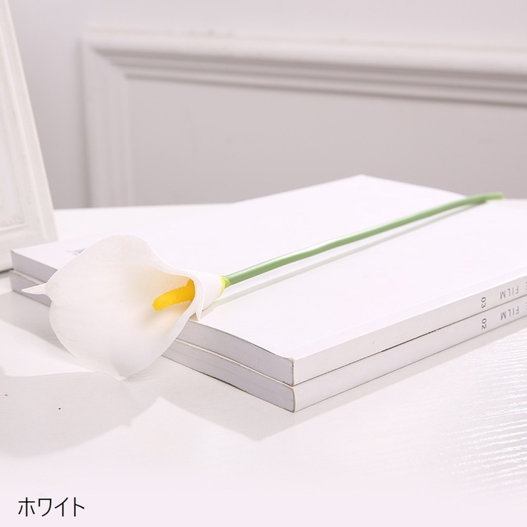 造花 フェイクフラワー 胡蝶蘭 | PlusNao | 詳細画像11 
