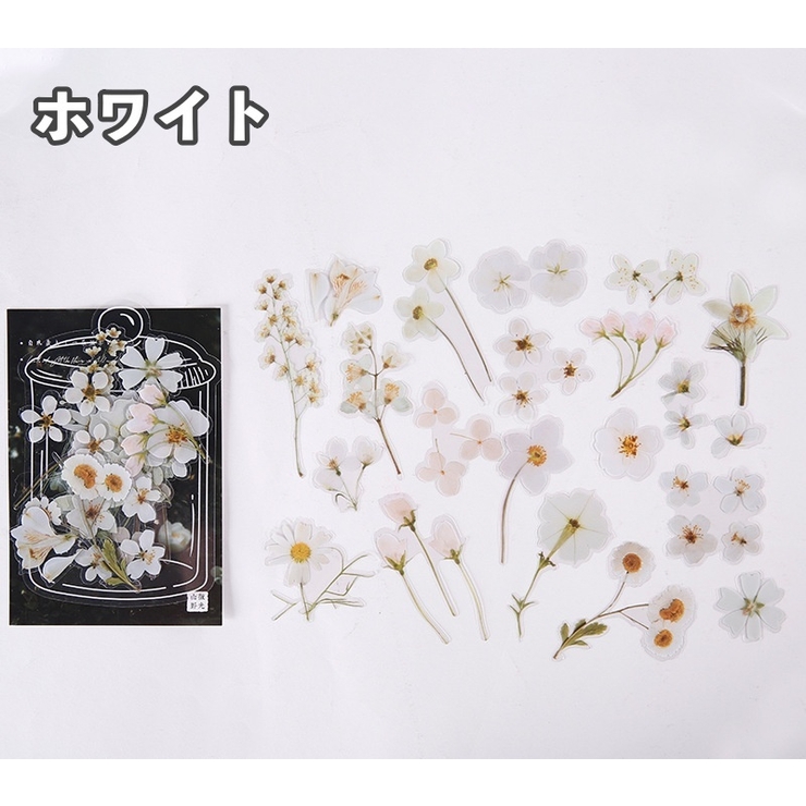 クリアステッカー シール 40枚セット | PlusNao | 詳細画像18 