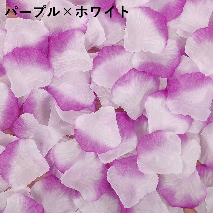 花びら 花びらアート 結婚式 | PlusNao | 詳細画像14 