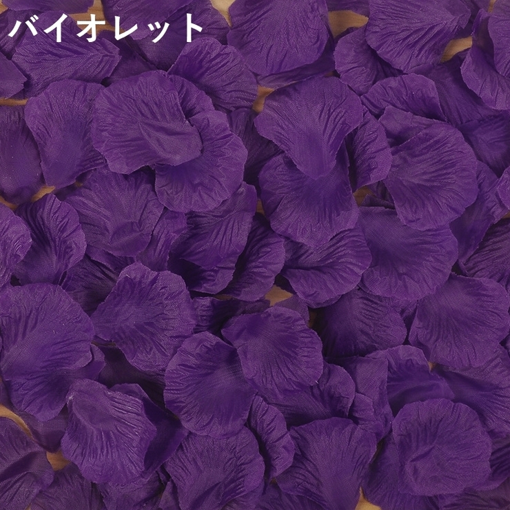 花びら 花びらアート 結婚式 | PlusNao | 詳細画像18 