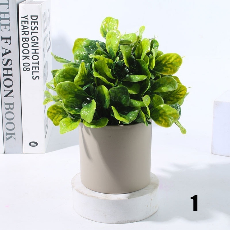 人工観葉植物 フェイクグリーン 多肉植物 | PlusNao | 詳細画像5 