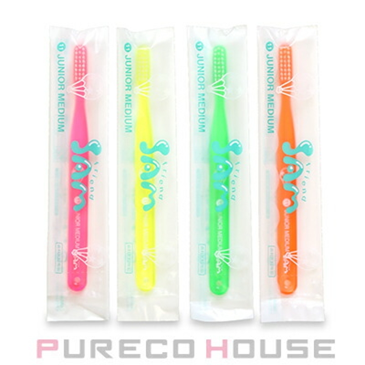 SAM friend (サム | PURECO HOUSE | 詳細画像2 