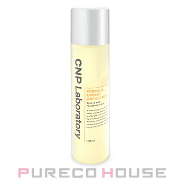 CNP Laboratory (チャンアンドパク） | PURECO HOUSE | 詳細画像1 