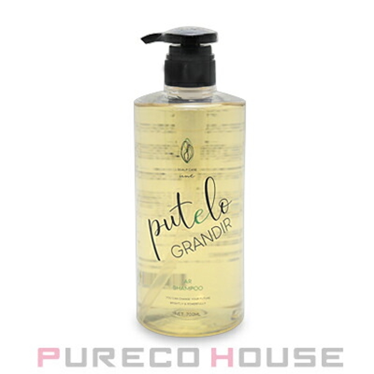 プテロ ARシャンプー グランディール 700ml | PURECO HOUSE | 詳細画像1 