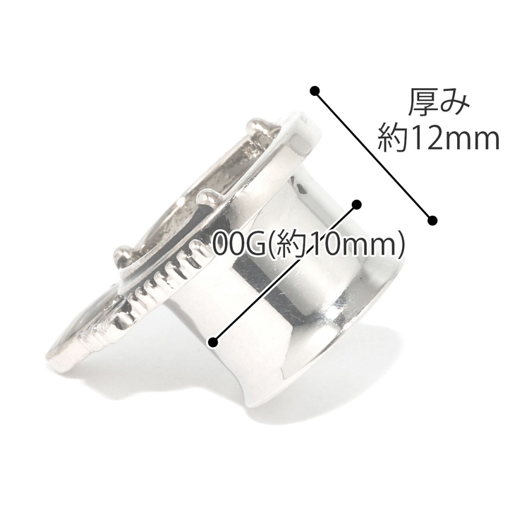 シェル トンネル ピアス 10mm 2点 - その他