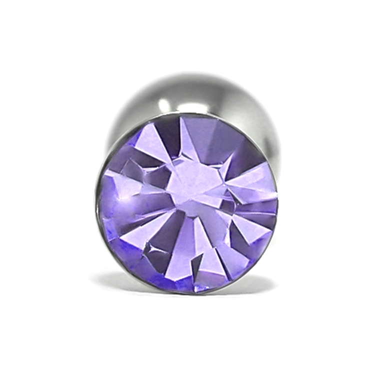 パープル | 軟骨ピアス ジュエルキレイキラキラ しんぷるおしゃれ | ボディピアス専門店凛RIN