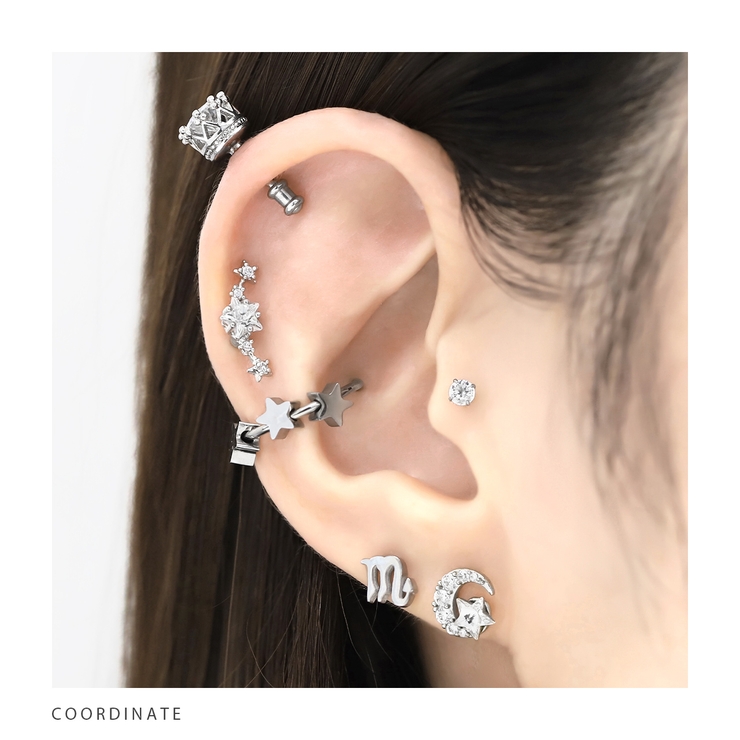 軟骨ピアス スタージュエル イヤーフィット | ボディピアス専門店凛RIN | 詳細画像5 