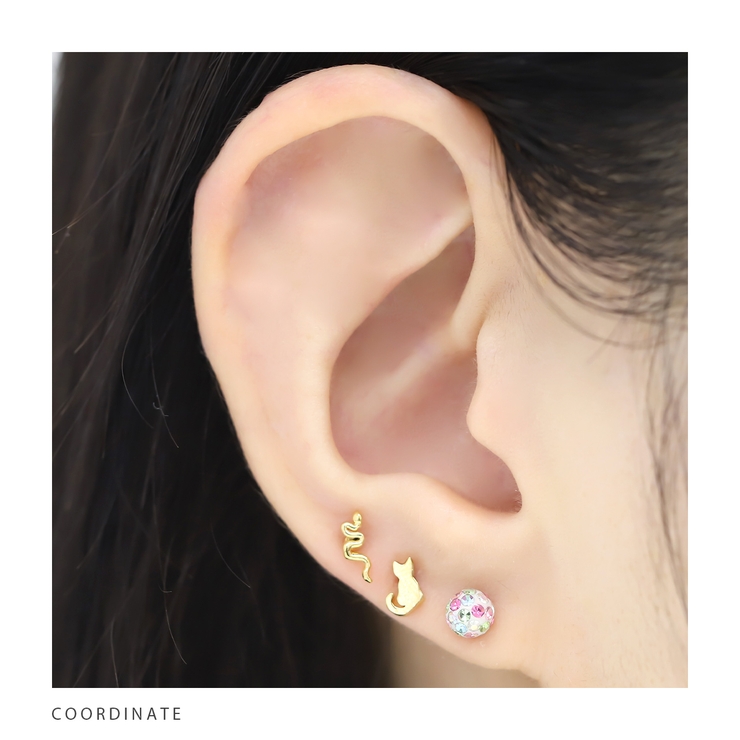 軟骨ピアス 鳥蛇羽根トリヘビフェザー生き物アニマルネイティブアメリカンかっこいい… | ボディピアス専門店凛RIN | 詳細画像6 