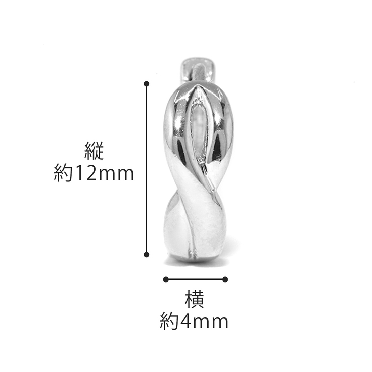 ファッションピアス 18Kコーティングニッケルフリーピアス リングメビウスフープ | ボディピアス専門店凛RIN | 詳細画像10 
